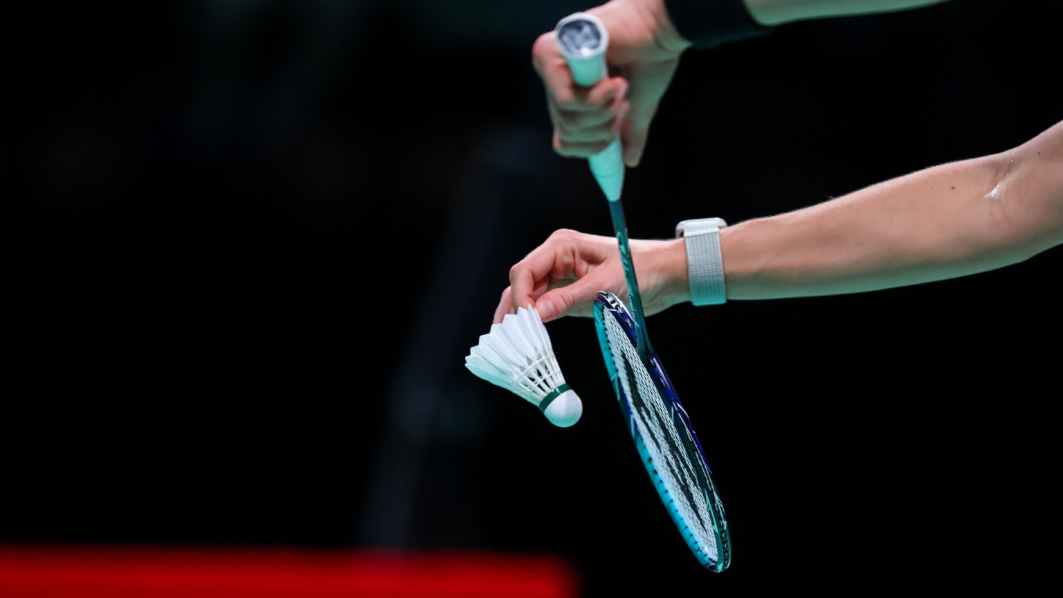 Federación Española de Bádminton